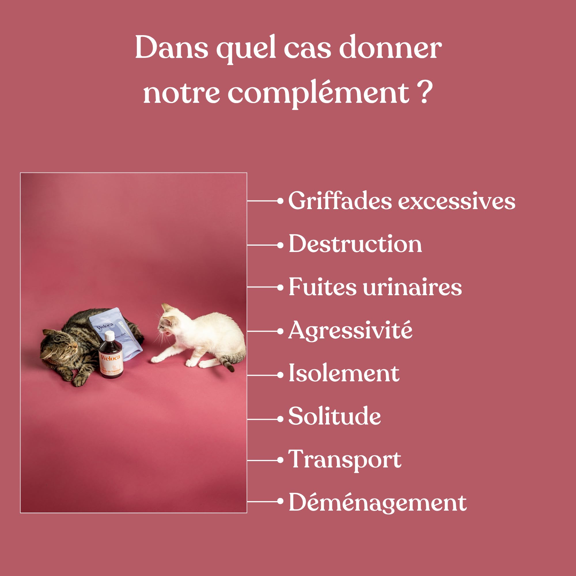 Anti-stress Chat - Anti marquage Urinaire, Anti griffade - Apaisant contre les problèmes comportementaux du chat ou changements (déménagement) - 120 bouchées naturelles très appétentes - Calmant chat