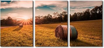 TFIAVSIN Wall Art for Living Room Round Straw Bales in Harvested Fields Painting Bales of Hay Art Pictures Artwork 3 Piece Prints on Canvas Wall Decor Framed Ready to Hang48" Wx24 H