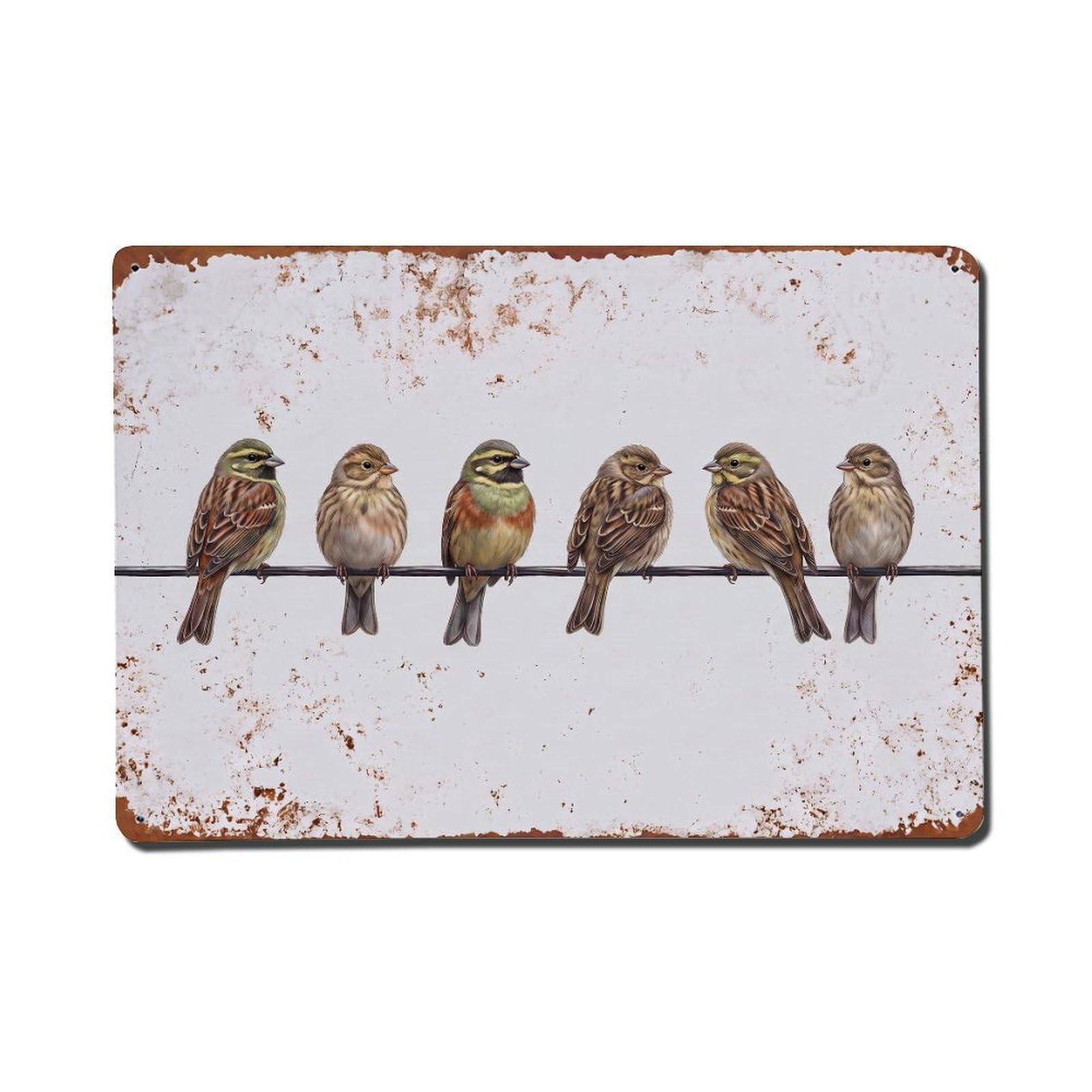 Vintage Retro Birds Cirl Bunting Metal Tin Sign