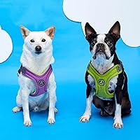 Vista 9 de Arnés de goma espuma con memoria Gooby Escape Free - Azul, pequeño - Arnés para perros sin tirón, de entrada fácil, con ajuste de cuatro puntos