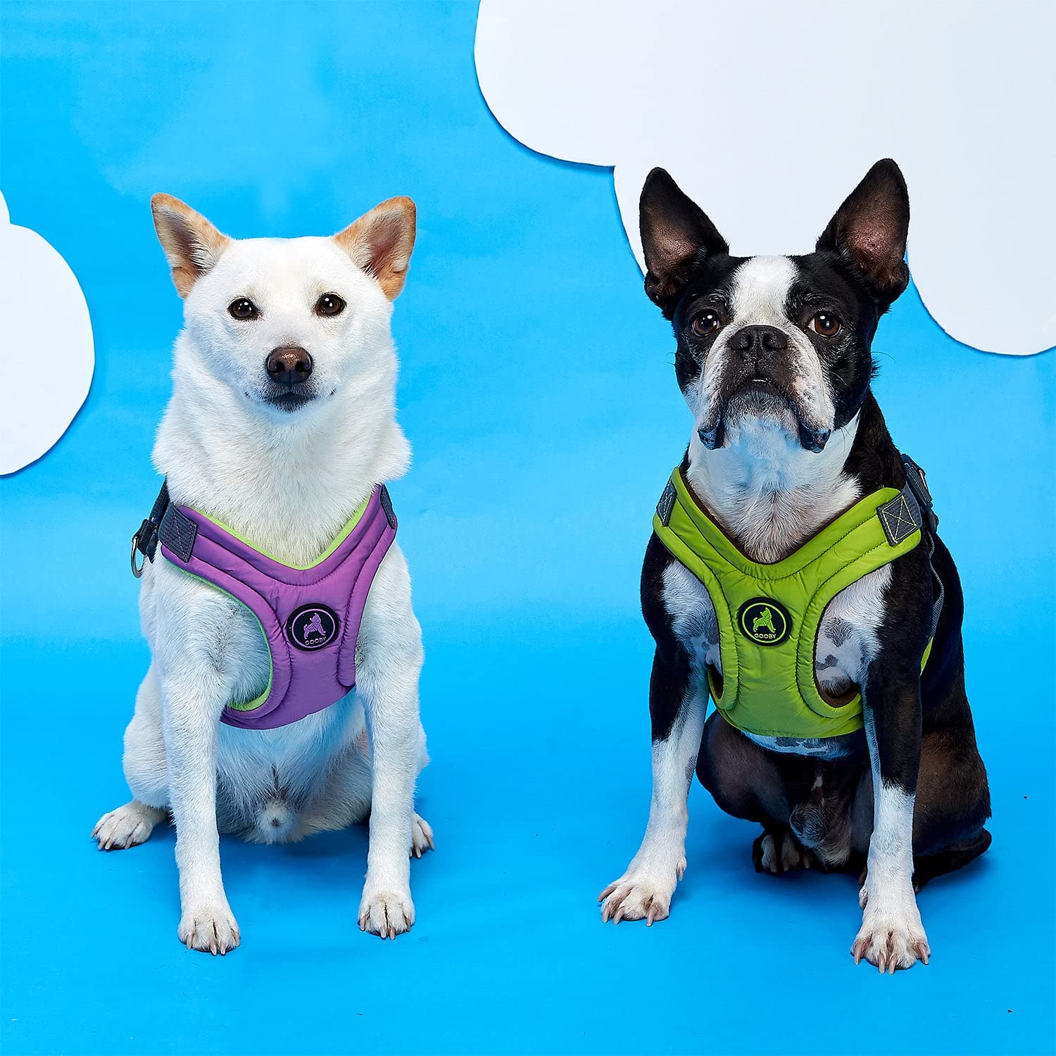 Gooby Escape Free Hundegeschirr aus Memory-Schaum, kein Ziehen, 4-Punkt-Verstellung, für kleine bis mittelgroße Hunde, Blau, Größe S