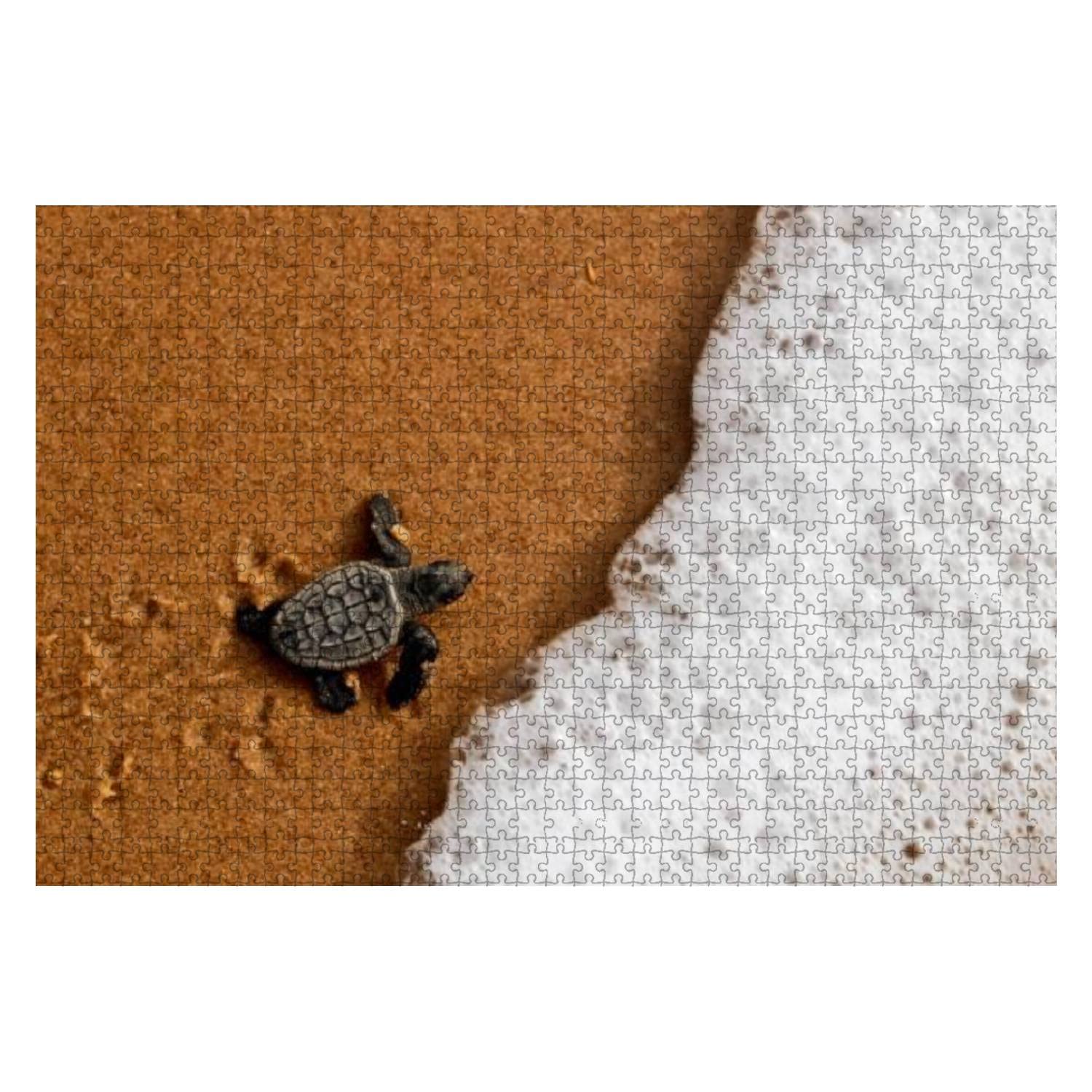 1000 Piece Hatchling Baby sea Turtle Crawling to The Ocean on Bahia Coast Brazil Large Piece Jigsaw Puzzles for Adults Educational Toy for Kids Creative Games Entertainment Wooden Puzzles Home Decor