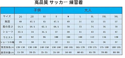 日体大 練習着サッカーシャツ・ショーツセット M 値段交渉あり 新品 Kemari87 KISHISPO / アディダス サッカー日本代表 2024 ホーム