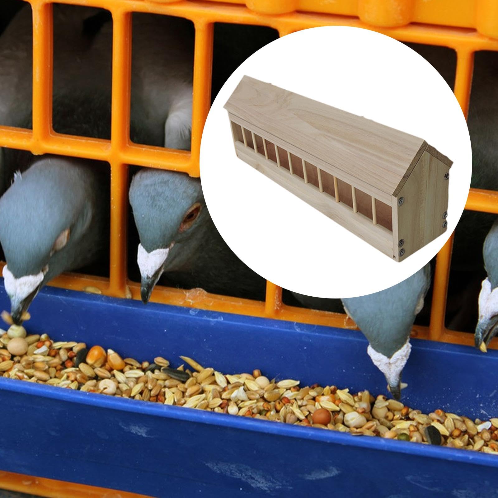 Comedero para Palomas, Recipiente Ranurado, Suministros para Aves, Comedero para Aves de Jardín, Dispensador de Comida para Codornices, Palomas Y Otro, 60cm