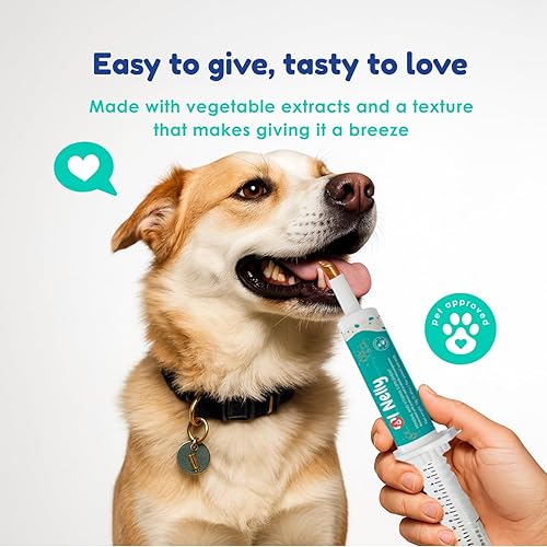 Miniatura 5 de Ol Nelly Pasta probiótica prebiótica y probiótica para perros, 6 cepas de bacterias, 18 bi UFC + vitaminas, minerales, fórmula mejorada para