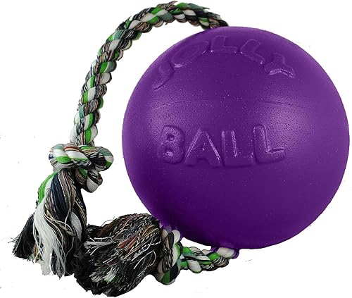 Miniatura 21 de Jolly Pets Romp-n-Roll - Juguete para perro, 8 pulgadas, Rojo Rojo -,Púrpura,Azul,Azul (Arándano),Púrpura claro,Naranja