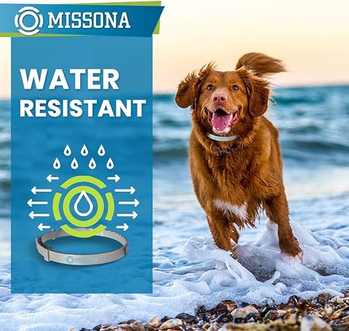Miniatura 4 de Missona Collar antipulgas para perro con aceite esencial, collares ajustables para pulgas y garrapatas para perros cachorros, paquete de 2, diseño