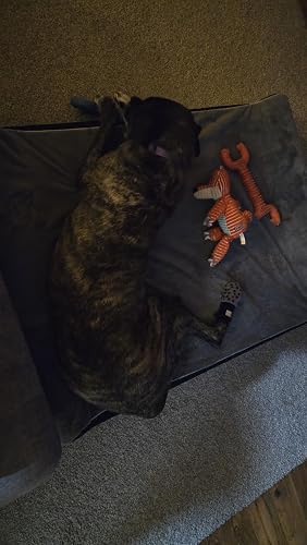 Review Image by Amazon Customer