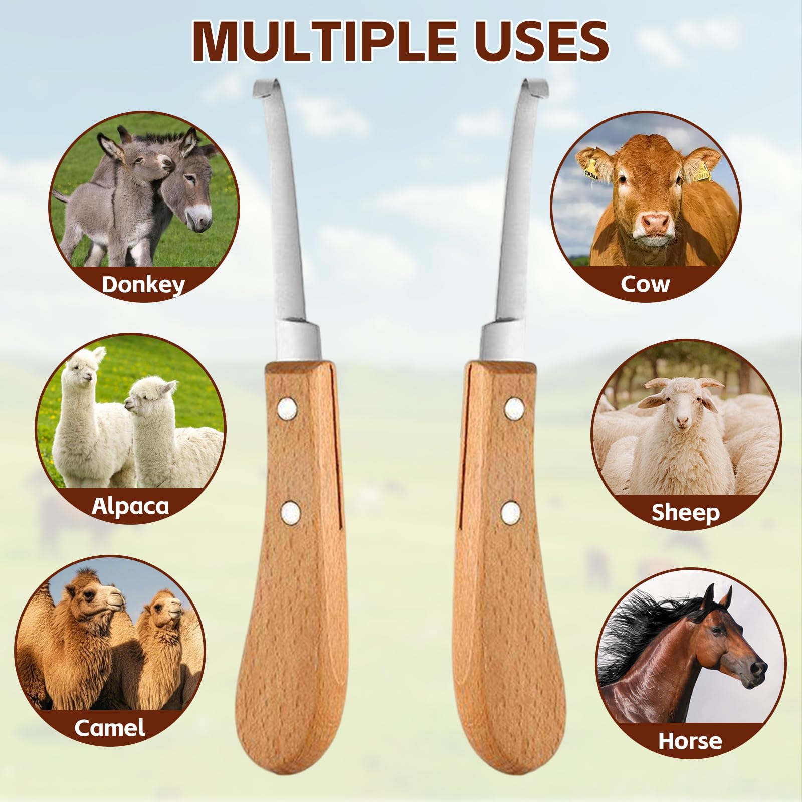 2 piezas Cuchillo para Pezuñas, 21.5 CM Cuidado de Los Cascos Acero Inoxidable Zurdos y Diestros, Herramientas para Recortar Pezuñas con Mango de Madera para Ganado Vacuno, Ovino y Equino