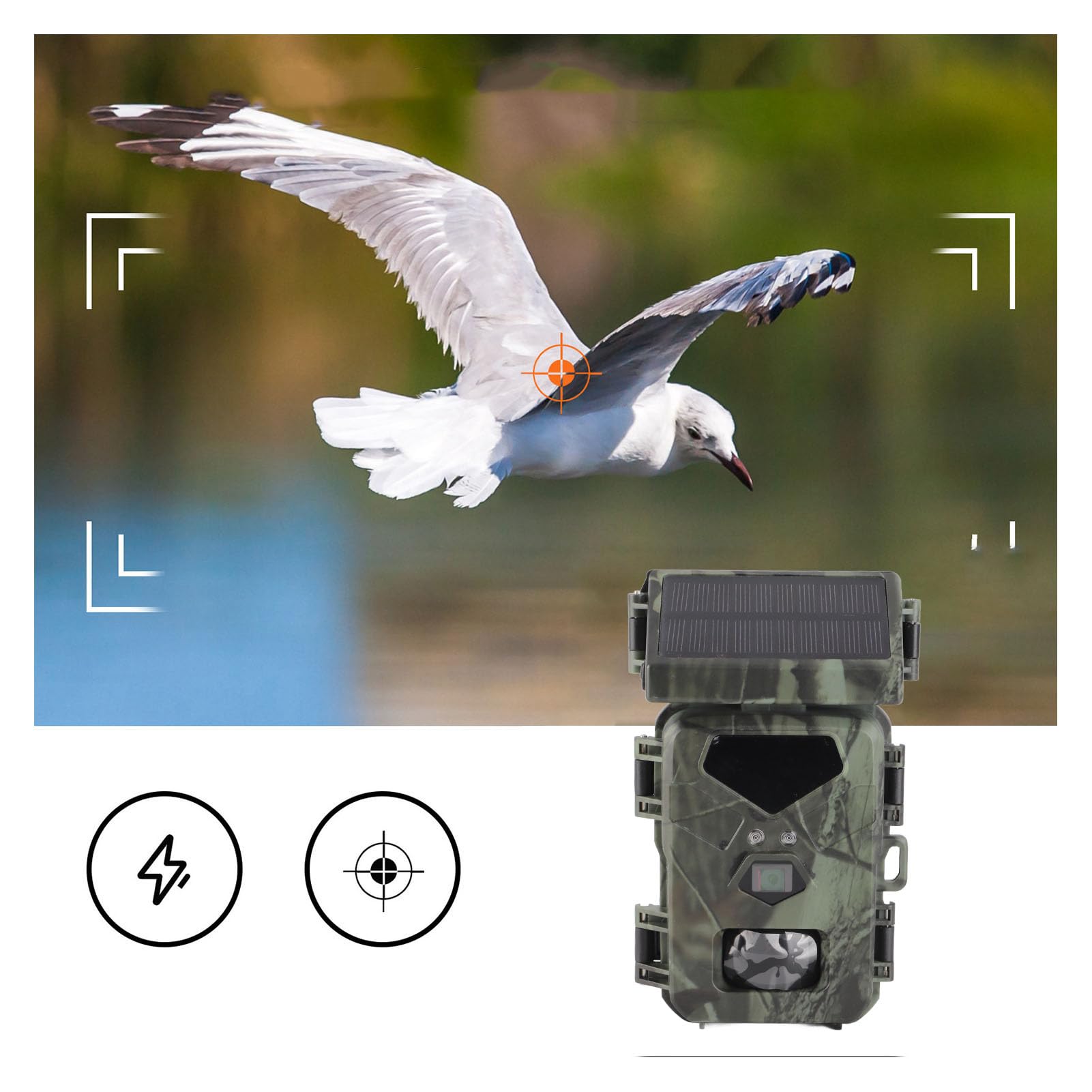 Solar Trail Camera, Noktowi Widzenie 20 MP 1080p z 65 -metrowym Zakresem Wykrywania na Zewnątrz Nadzoru Przyrody IP65 Wodoodporna Kamera Polowa