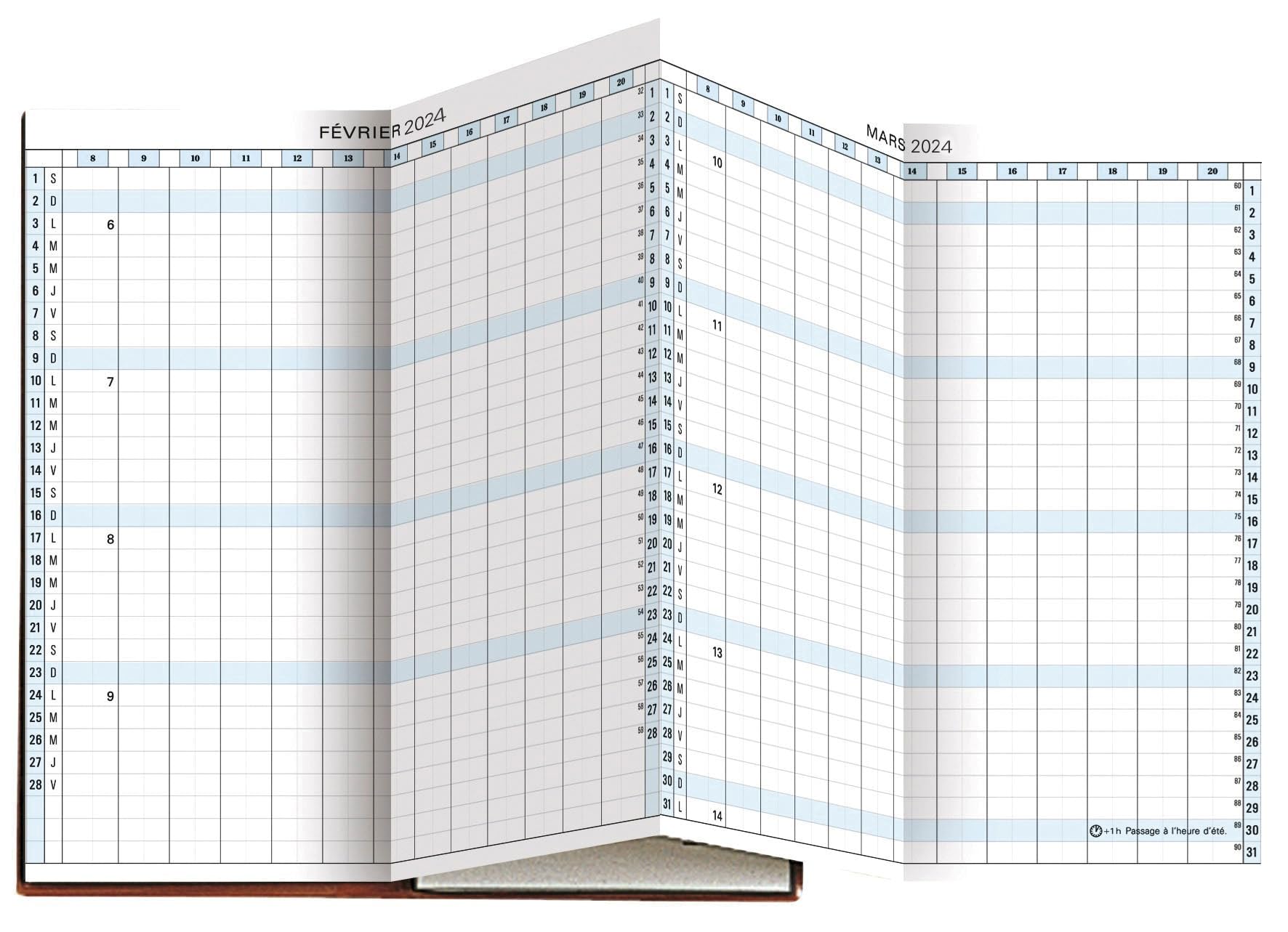 Exacompta - 172622E - Exaplan 17 Accordion Monthly Pocket Planner Refill - 8 x 17.5 cm - January to December 2025