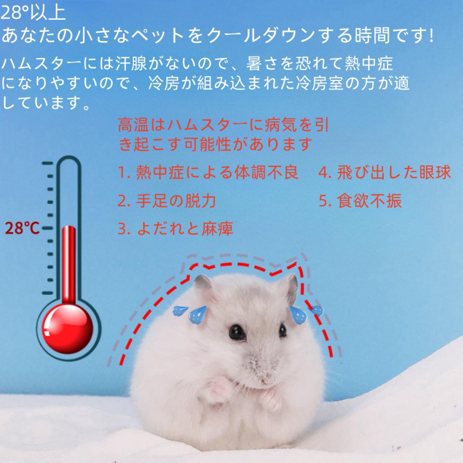 Amazon.co.jp: 【Hangkaibh】 ハムスター ハウス なつ ハムスター 暑さ