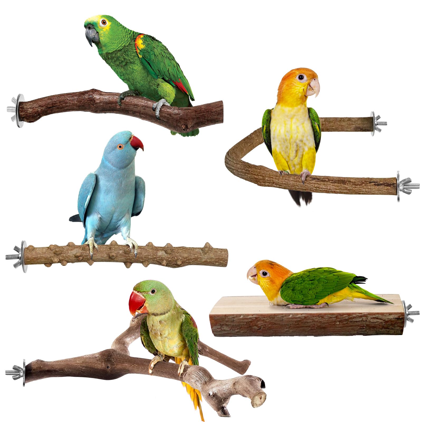 Bird Perches, 5pcs Natural Wood Birds Stand Branch, Bird Perch Chewing Stick Cage Accessories Parrot Climbing Standing Branches Paw Grinding Fork Sets for Cockatiels Ringneck Parrots
