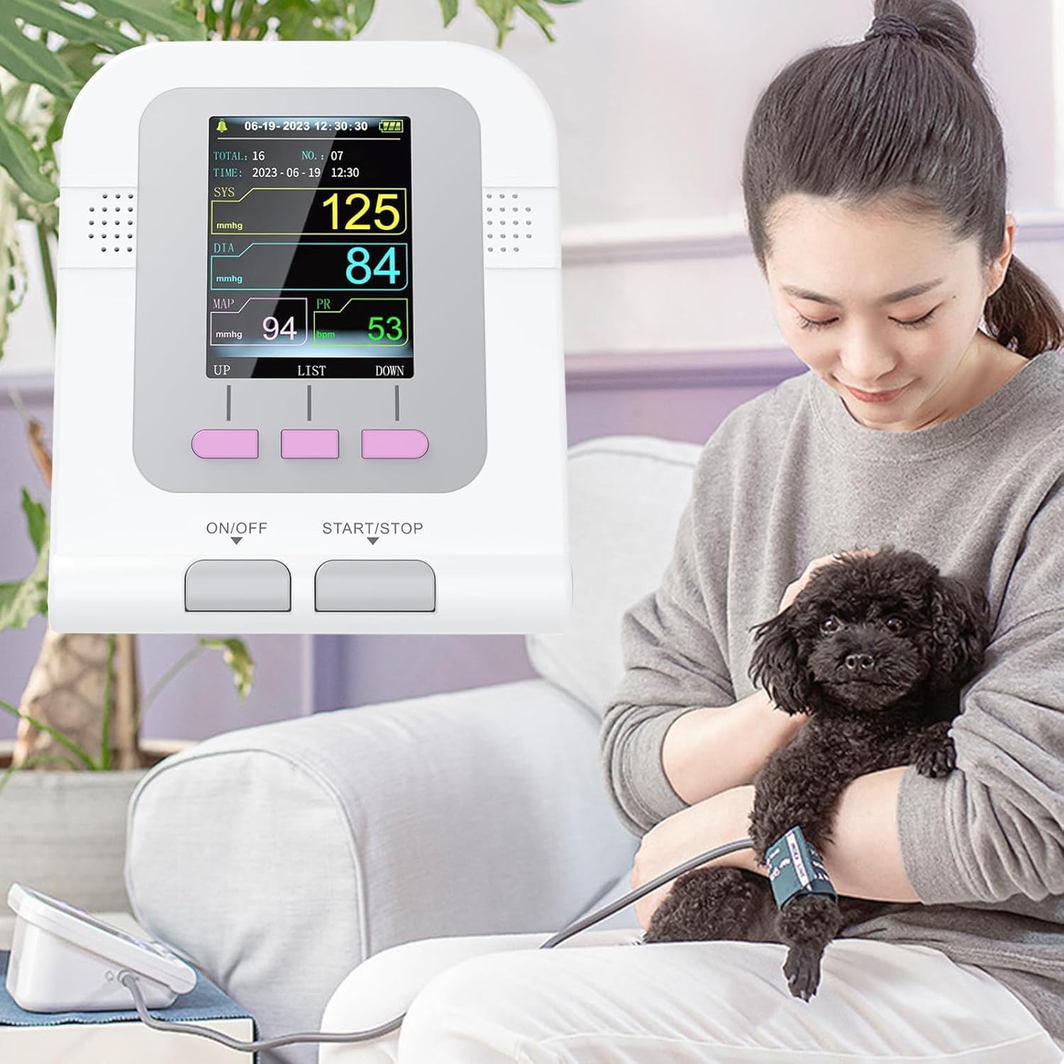 Cyfrowy ciśnieniomierz dla zwierząt domowych, elektroniczny monitor mankietowy z ekranem 2,8 cala, 3 mankietami, analiza oprogramowania dla psów, kotów i dużych zwierząt