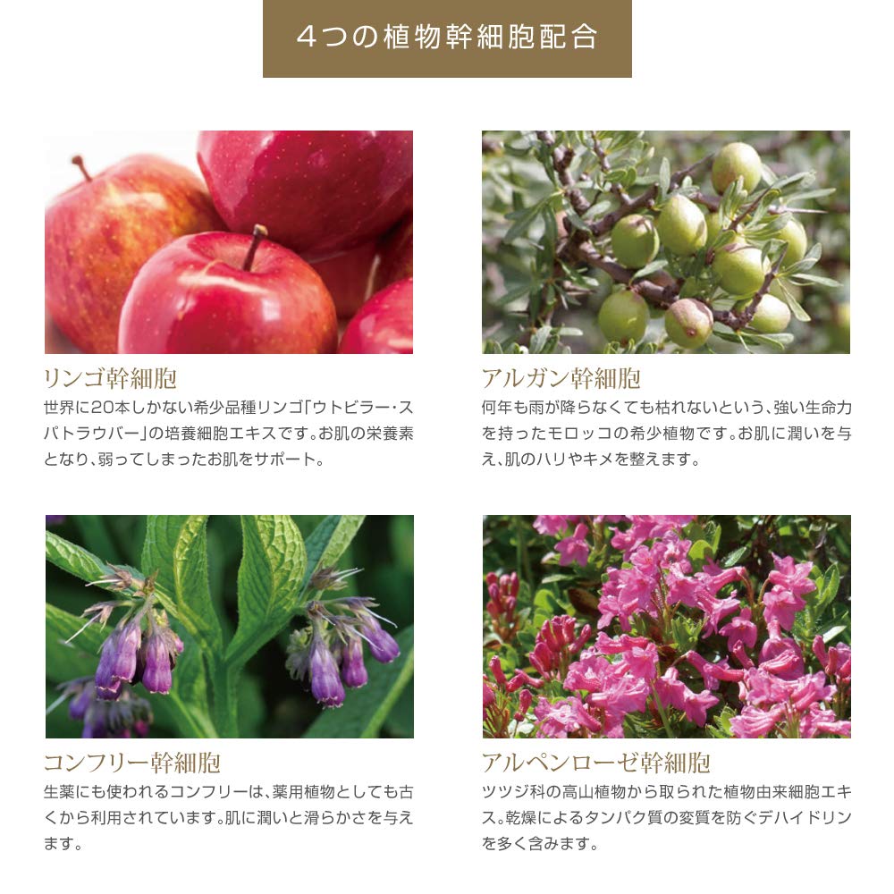 Amazon | [グレースリシャ クレンジングジェル 500mL] エステ業務用