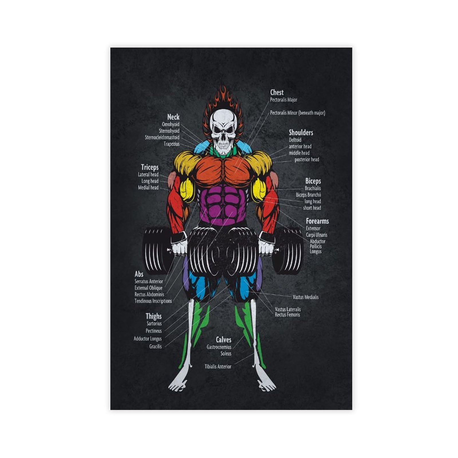 Piank Muscle Anatomy Chart Inspirational Wall Art Motivational Poster Poster Motivation Wall Quotes Art For Office Decor 24X36inch(60X90cm)