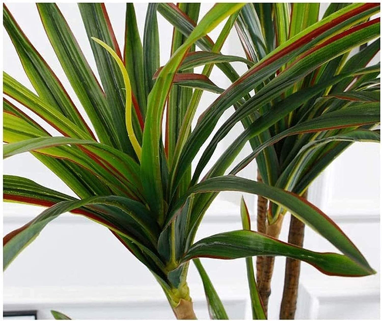 Künstlicher Baum Künstlicher Baum Enthält Topf, Künstliche Dracaena-Baumpflanzen, Grüne Simulationsbaumpflanzen, Grünes Dekor, Eingetopft Kunstbaum Indoor(E)