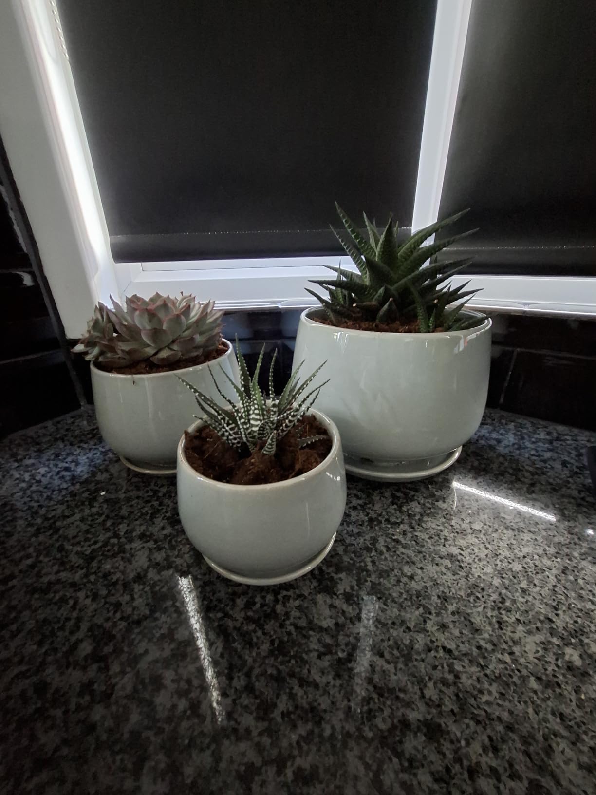 Customer photo