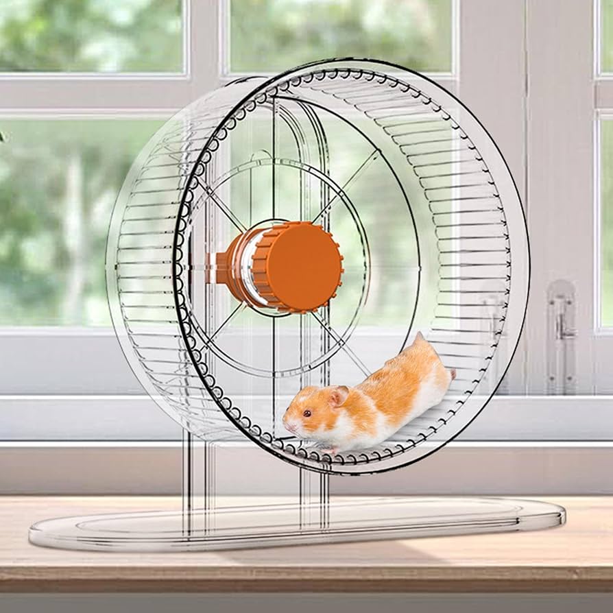 Amazon.co.jp: ハムスター回し車 - サイレントハムスター回し車