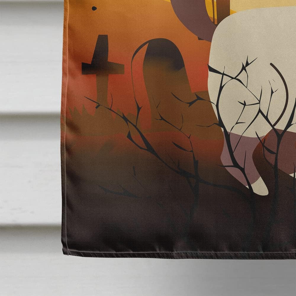 Caroline's Treasures BB4441CHF Halloween Birman Cat House Flag Large Porch Sleeve Pole Decorative Outside Yard Banner Artwork Wall Hanging, Polyester, House Size, Multicolor