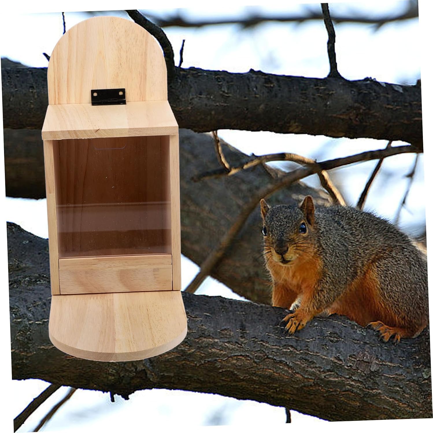 POPETPOP Tree Hanging Squirrel Feeder Durable Wooden Outdoor Bird Feeding Box with Removable Front Panel for Easy Refilling for Gardens and Backyards