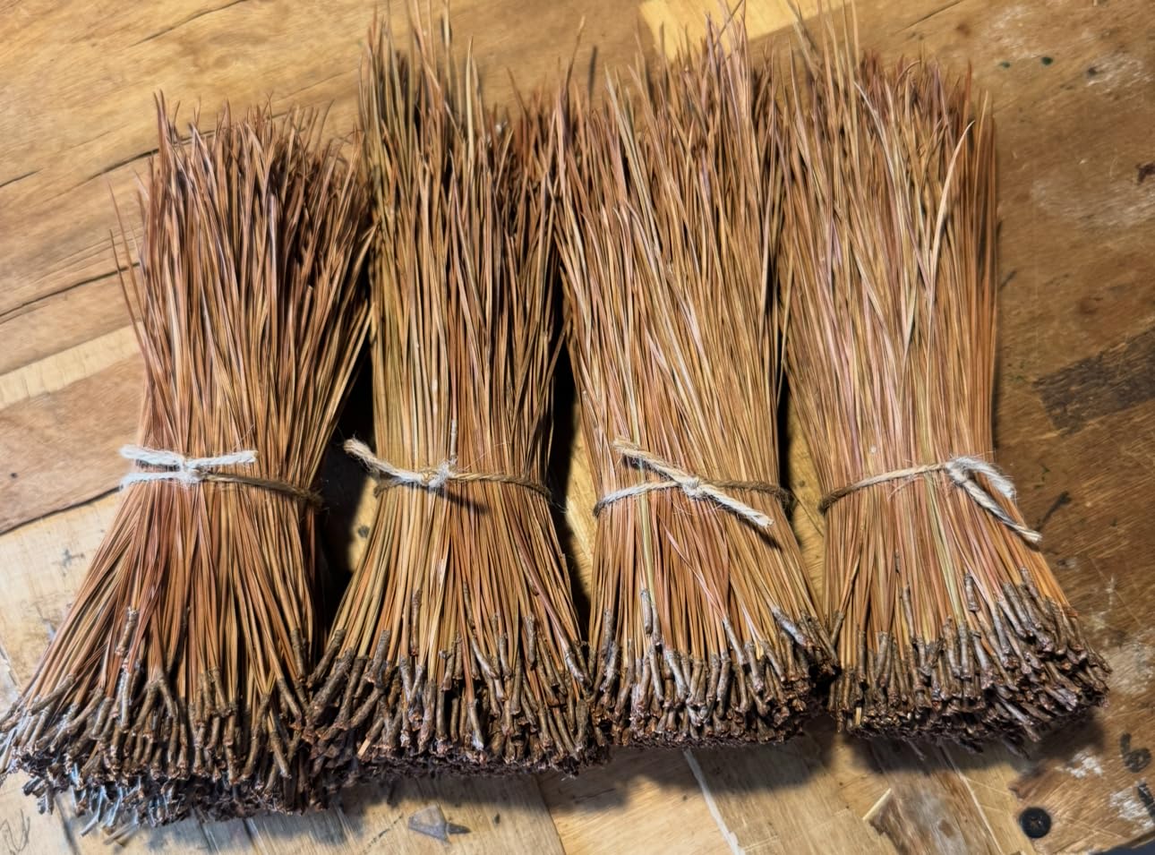 Agujas de pino de hoja corta de pino alto para cestería, tejido de cestas, 16 oz por paquete