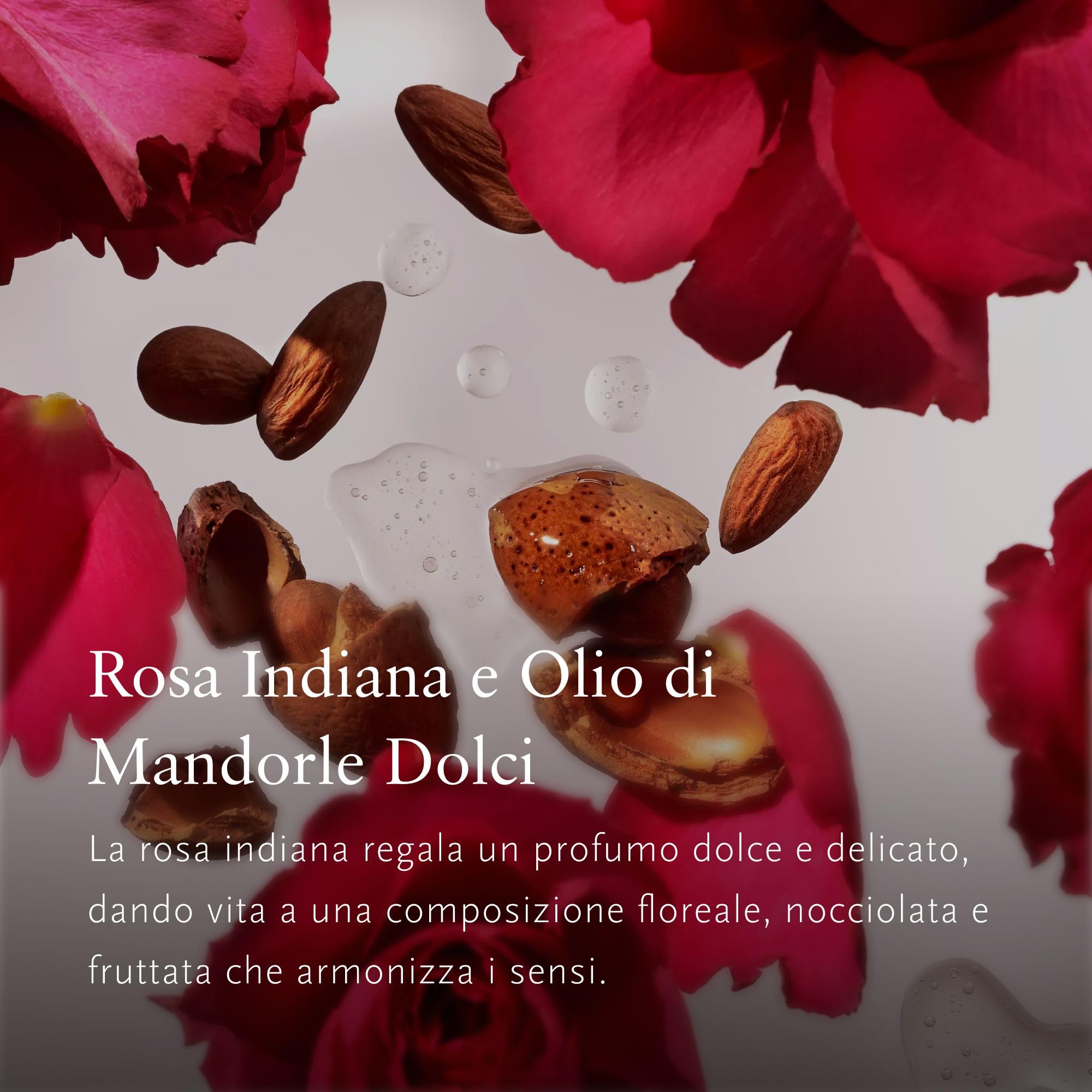 RITUALS Crema + Ricarica The Ritual of Ayurveda – Profumata con rosa indiana e olio di mandorle dolci, idratante per pelle secca – 2 x 220 ml