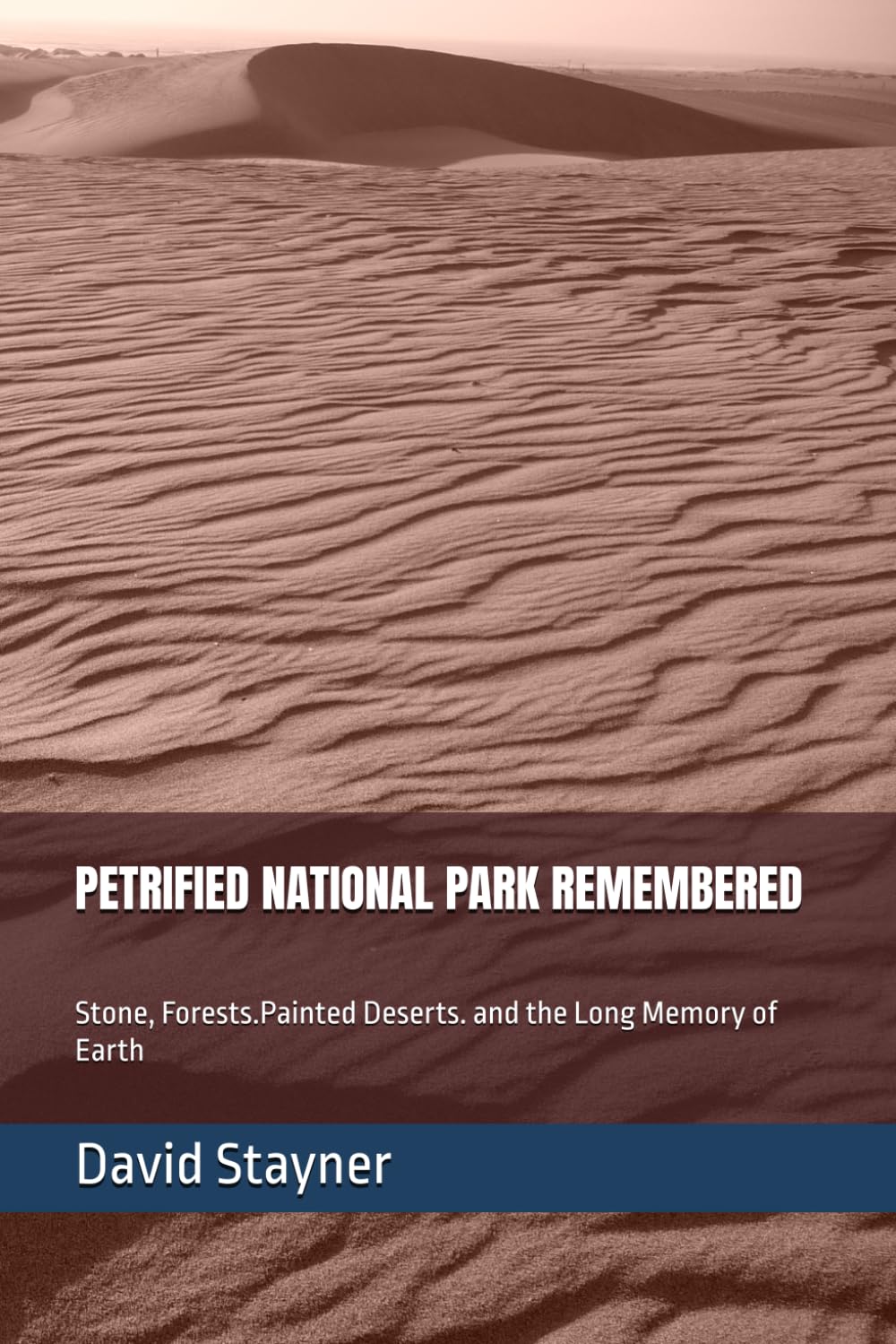 PETRIFIED NATIONAL PARK REMEMBERED: Stone, Forests.Painted Deserts. and the Long Memory of Earth