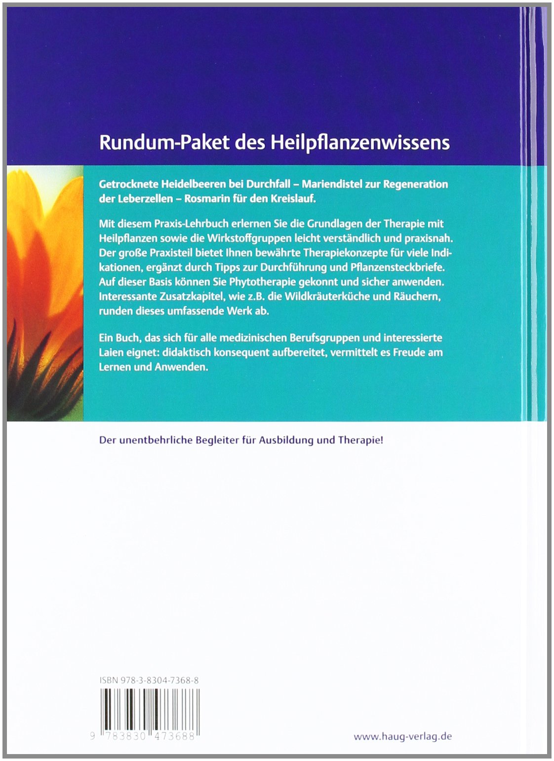 Praxis-Lehrbuch der modernen Heilpflanzenkunde: Grundlagen - Anwendung - Therapie