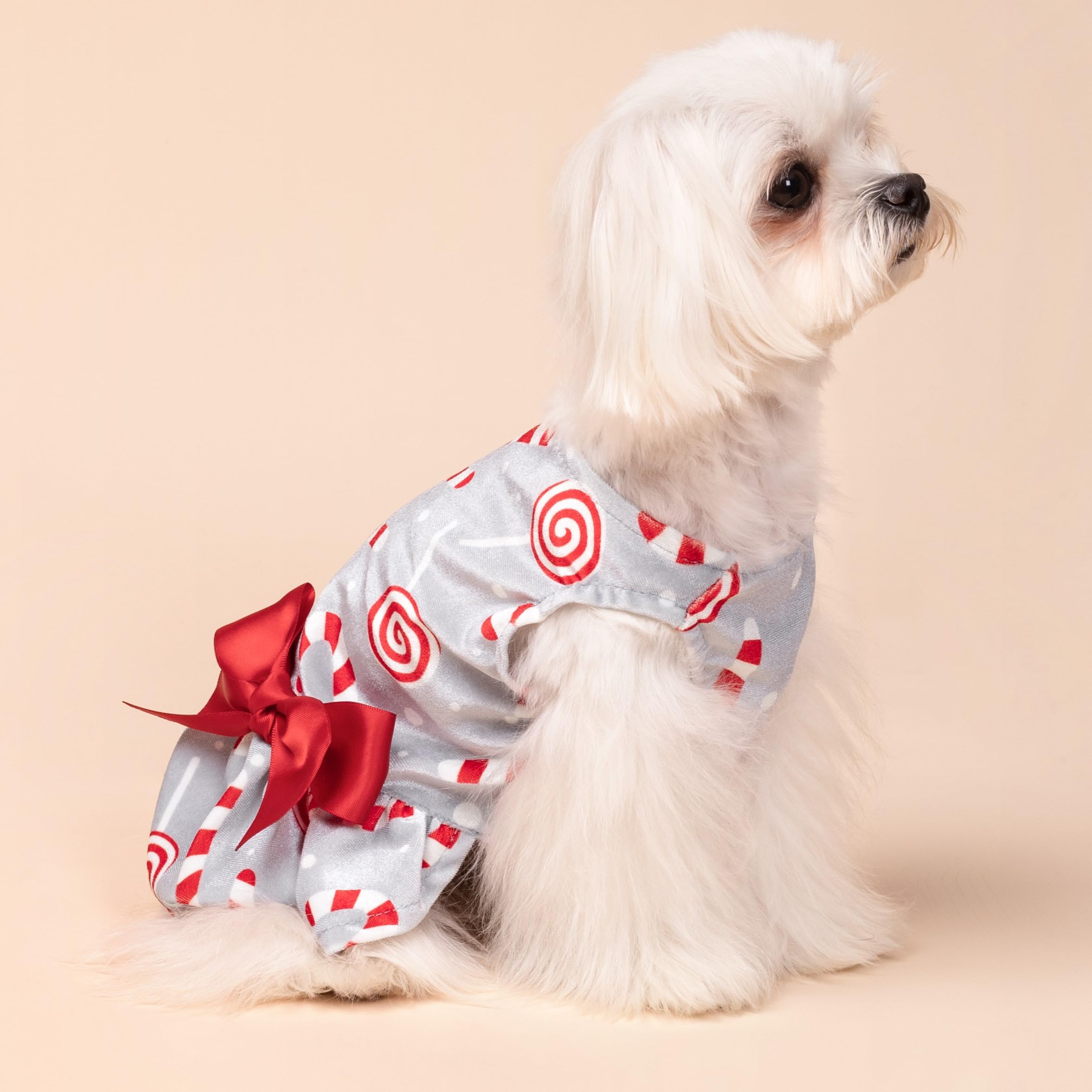 xs dog christmas dress Fitwarm Candy Canes Dress, Cute Dog Christmas Outfit, Doggy Clothes for Small Dogs Girl, Pet Apparel, Silver, Red, White, : Pet Supplies Christmas plaid dog dress