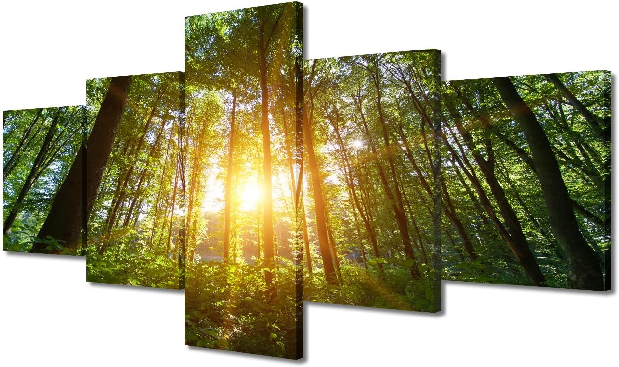 Amazon.com: TUMOVO Canvas Wall Art Scenic Forest of Fresh Bathroom ...