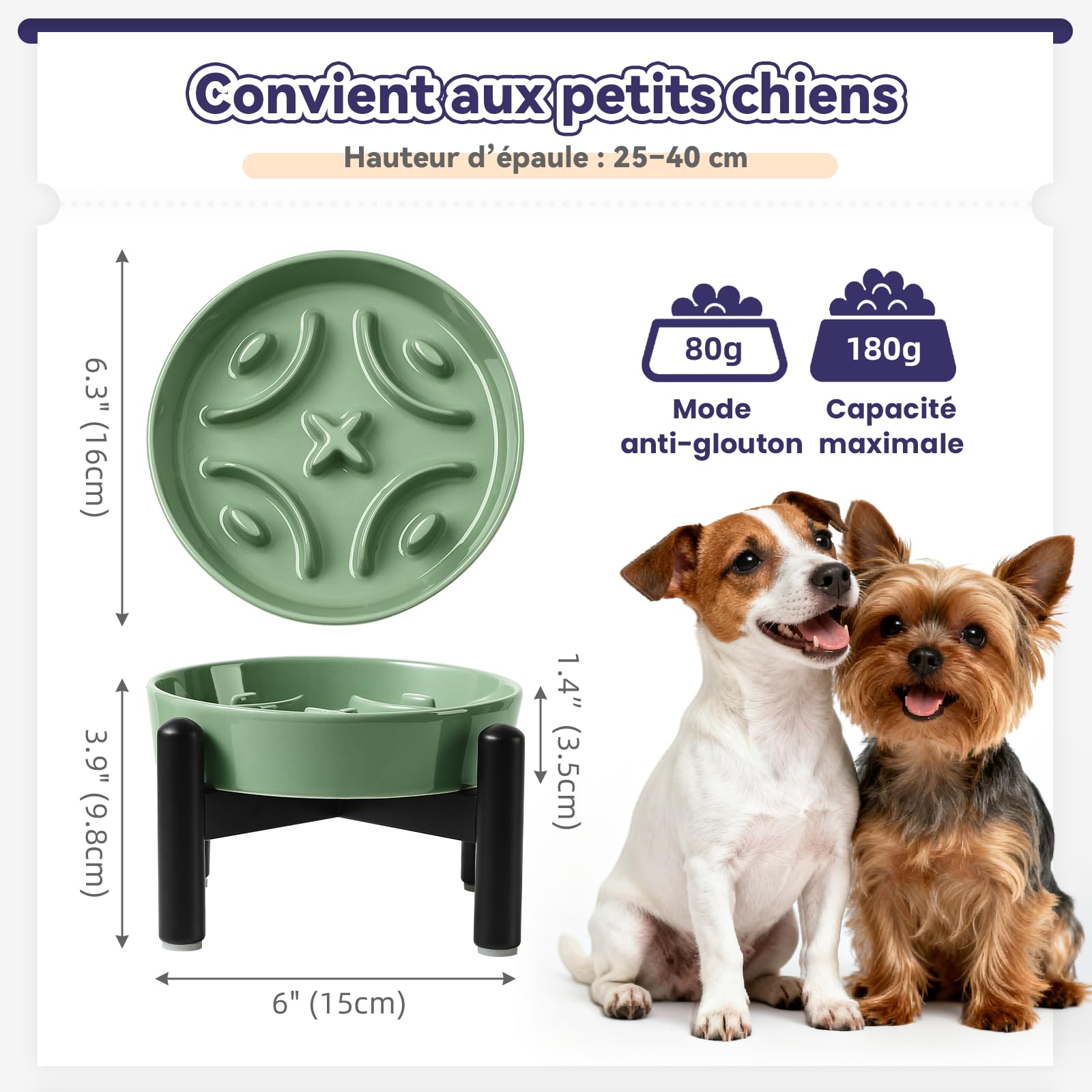 Gamelle pour Chien Surélevée Anti-Glouton - Bol Labyrinthe en Céramique avec Support Antidérapant en Acier Inoxydable - Gamelle pour Petit Chien - Haut 10 cm - Vert
