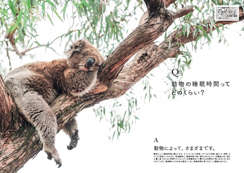 物理　実験•観察室　BEST100 PLUS 全3巻（DVD+CD）とてもキレイ 世界でいちばん素敵な理科の教室（世界でいちばん素敵な教室