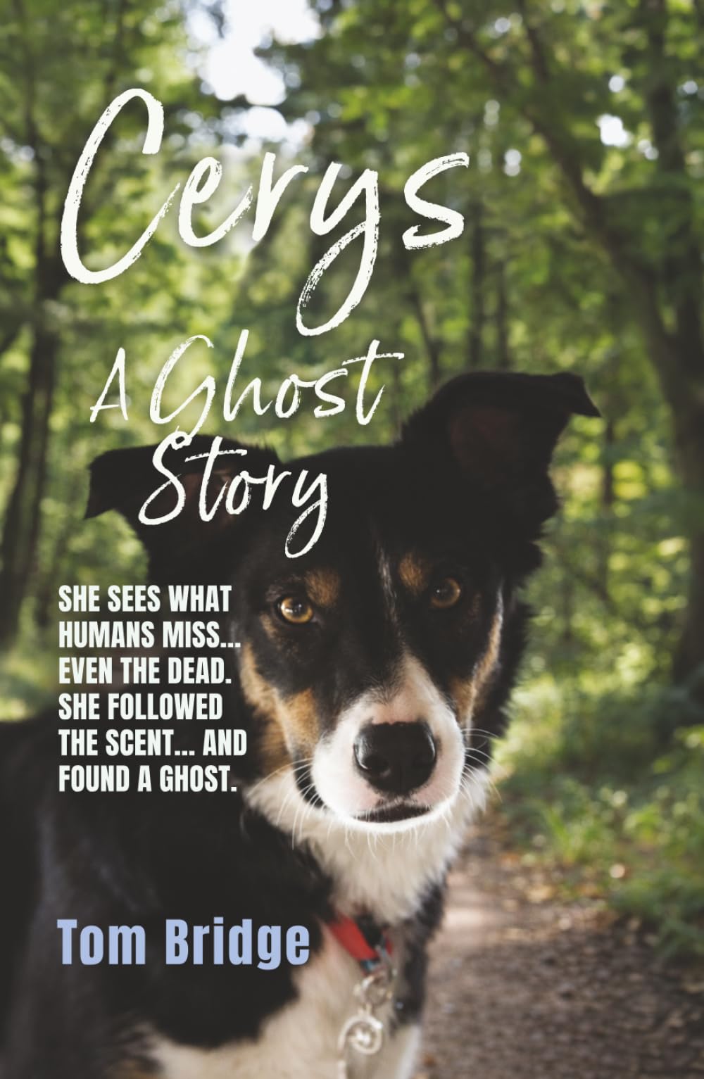 Cerys, A Ghost Story: A supernatural murder mystery