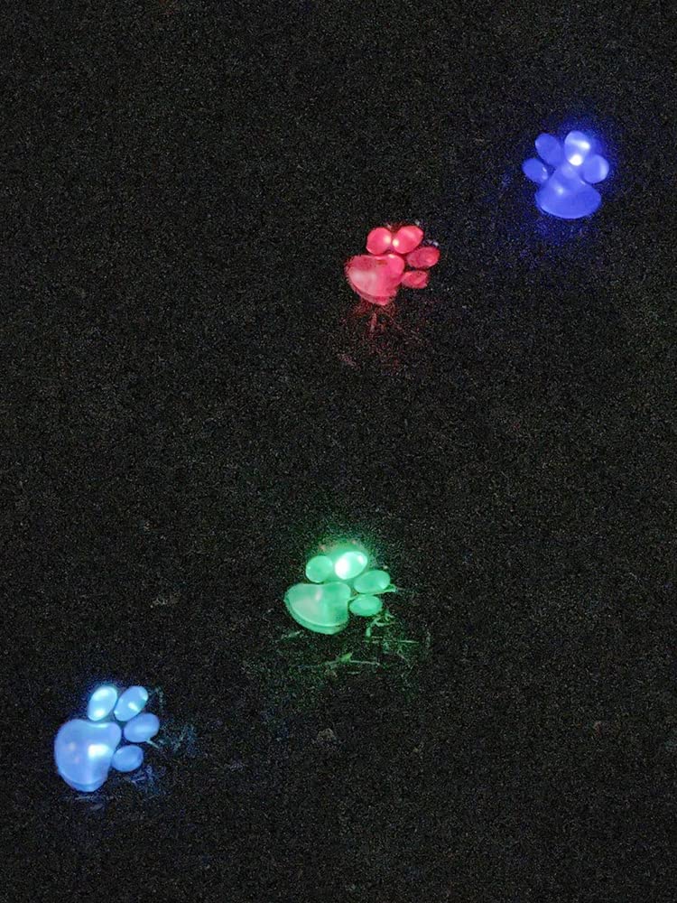 Eummy Solar Lights Outdoor Garden Waterproof 4 in 1 Paw Print LED Solar Lamp Ornaments Auto On/Off Animal Paw Print Lights for Yard Pathway Patio Decorative(Colored Light)