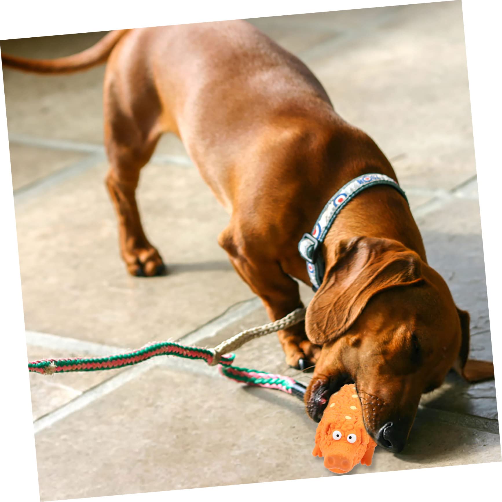 Housoutil Cachorro 4 Piezas De Juguete para Mascotas Juguetes para Cachorros Juguetes para Mascotas Juguete para Masticar De Látex para Perros Juguete para Masticar para Cachorros Pequeños