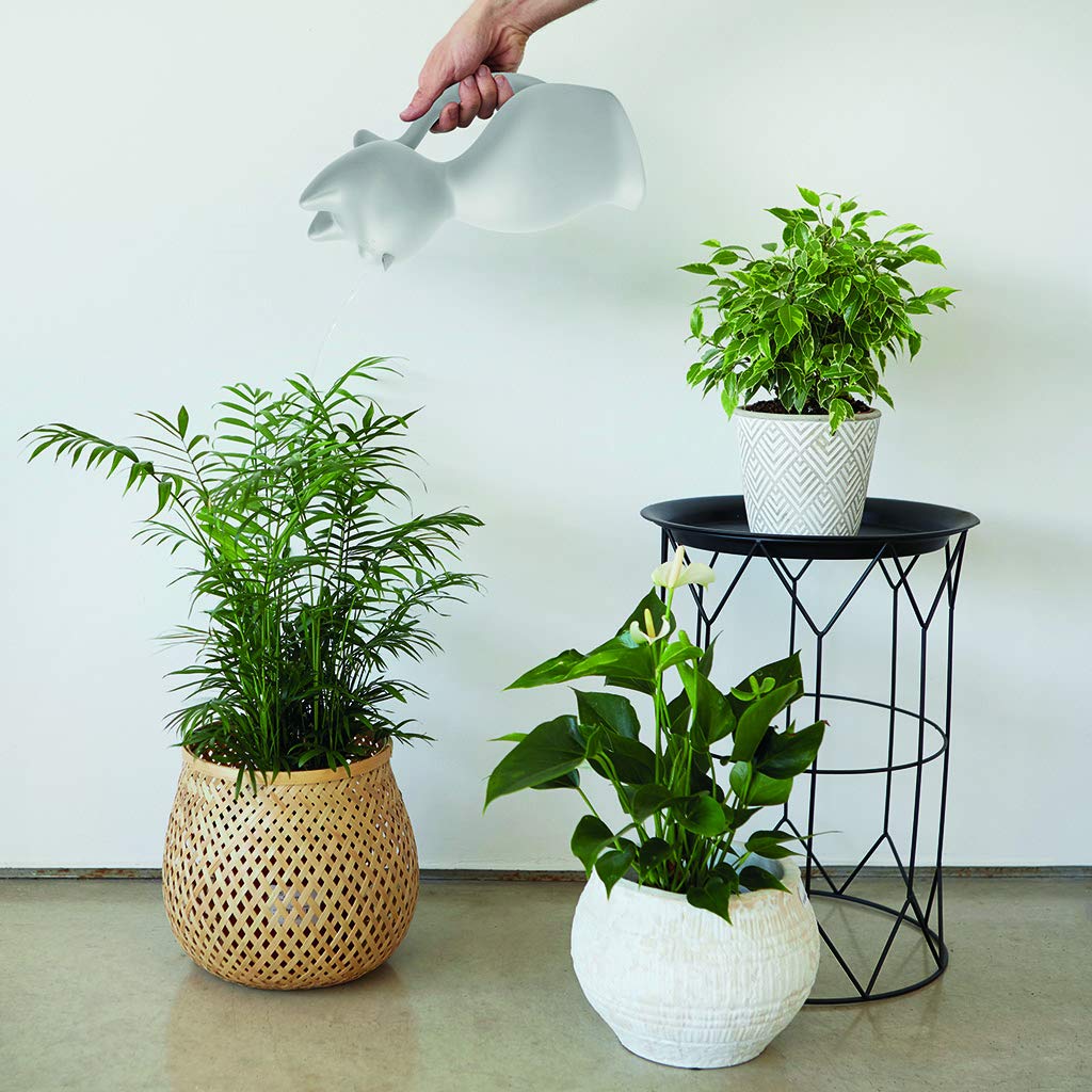 Arrosoir Décoratif En Forme De Chat - Décoration Jardin, Poterie Design