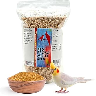 Morning Bird Red Proso Millet Bird Seeds 1.5 lbs – Healthy & Nutritious Pet Bird Food - Bird Seeds for Feather Growth – Perfect for Finches, Parakeets & Other All Pet Birds