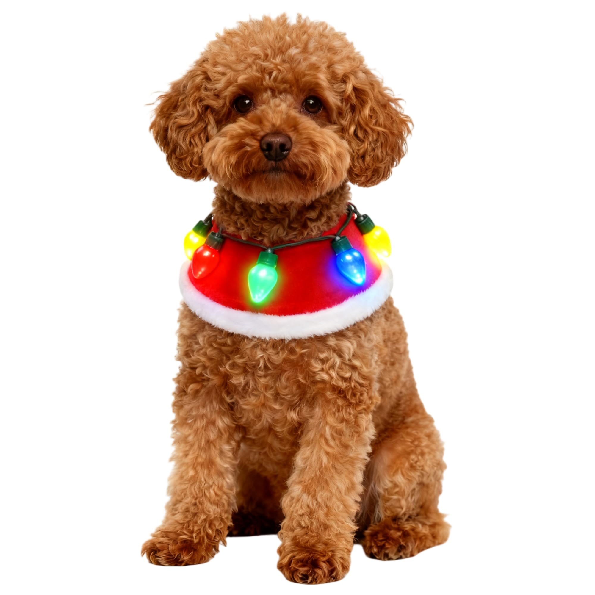 Costume de Noël lumineux pour chien pour éviter de perdre votre animal au réveillon