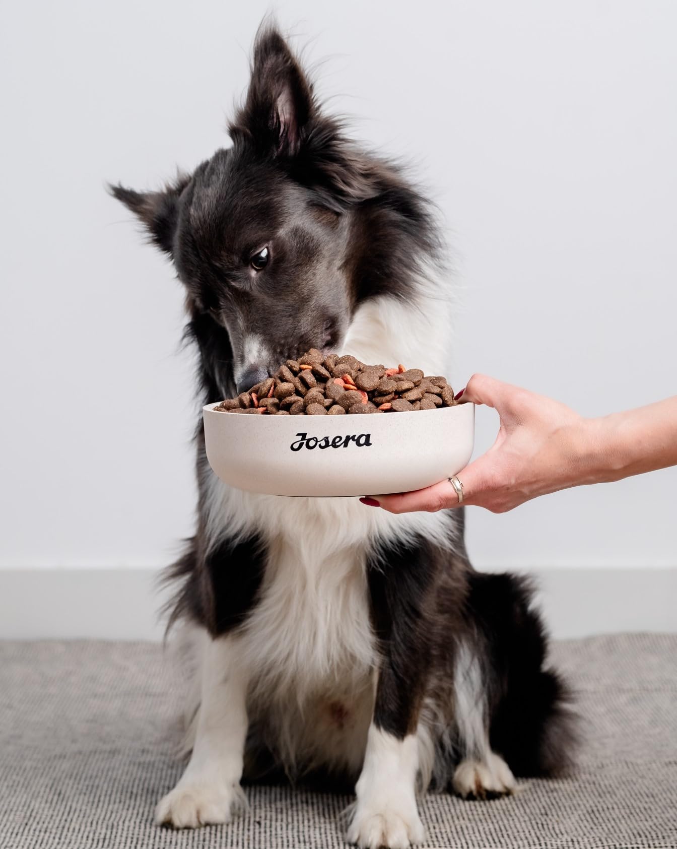 JosiDog Junior (1 x 15 kg) | sucha karma premium dla szczeniaków i młodych psów | bezglutenowa | dla najlepszej tolerancji | karma dla psów | Powered by JOSERA | 1 sztuka