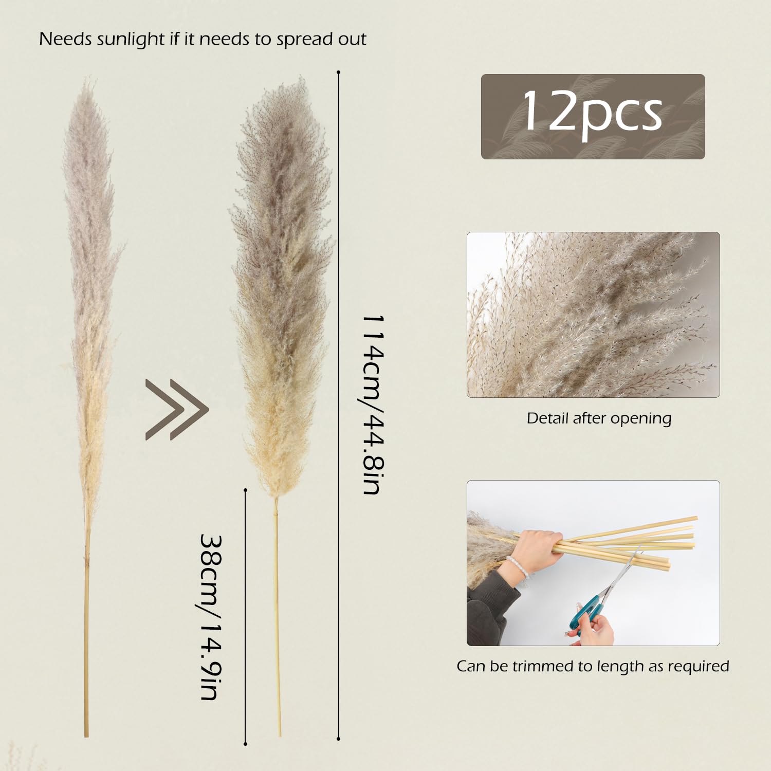 12 Piezas Hierba de Pampas Natural 114Cm Hierba de Pampas Secas Decoracion Grand Plantas Secas para Sala De Estar, Hogar, Piso, Jarrón, Decoración Boho（Gris）