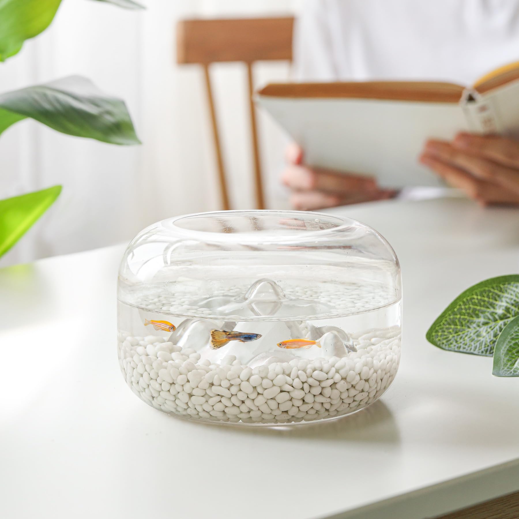 T4U Pierres de Galets pour Jardins, Aquariums Pots de Fleurs et Décoration de Sable et de Pierres, 2 LB de Galets Irrégulièrement Formés, Petits Cristaux Naturels d'Agate, Terrarium DIY, 900g.