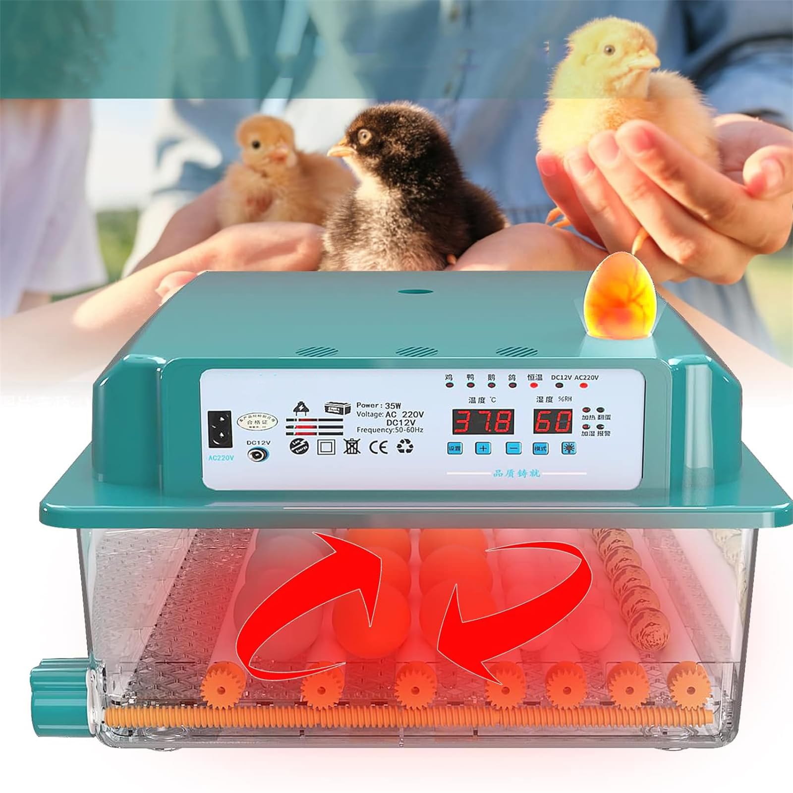 Incubatrice Automatica Per 36 Uova | Voltura Automatica | Controllo Temperatura E Umidità | Con Aggiunta Acqua Esterna E Luce Candeggina
