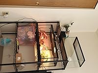 Review Image by Neriniex Neriniex