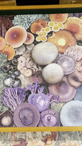 1000 Teile Pilz Puzzle Für Erwachsene | Farbenfrohes Motiv Mit Blühenden Pilzen | 68,1 X 68,1 Cm