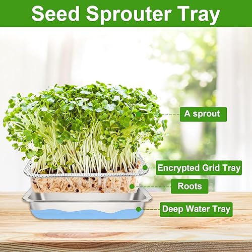 Miniatura 4 de Kit de germinación de semillas de acero inoxidable, bandeja para brotes de semillas, bandejas de brotes para brotes de frijol orgánico con