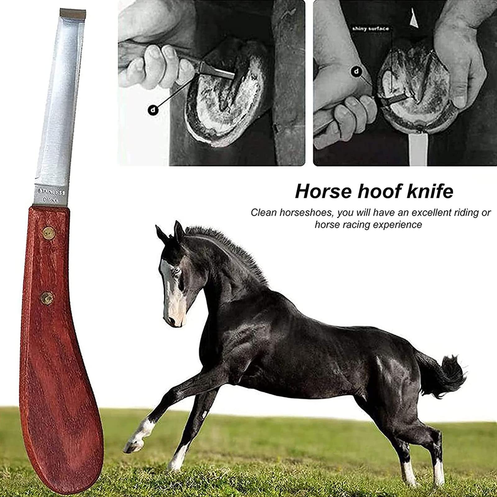 Kit De Herramientas para Recortar Cascos De Caballos, Tijeras De Metal De 14'' para Recortar Cascos De Caballos, Cortador De Cascos De Herradores Equinos con Herramienta,