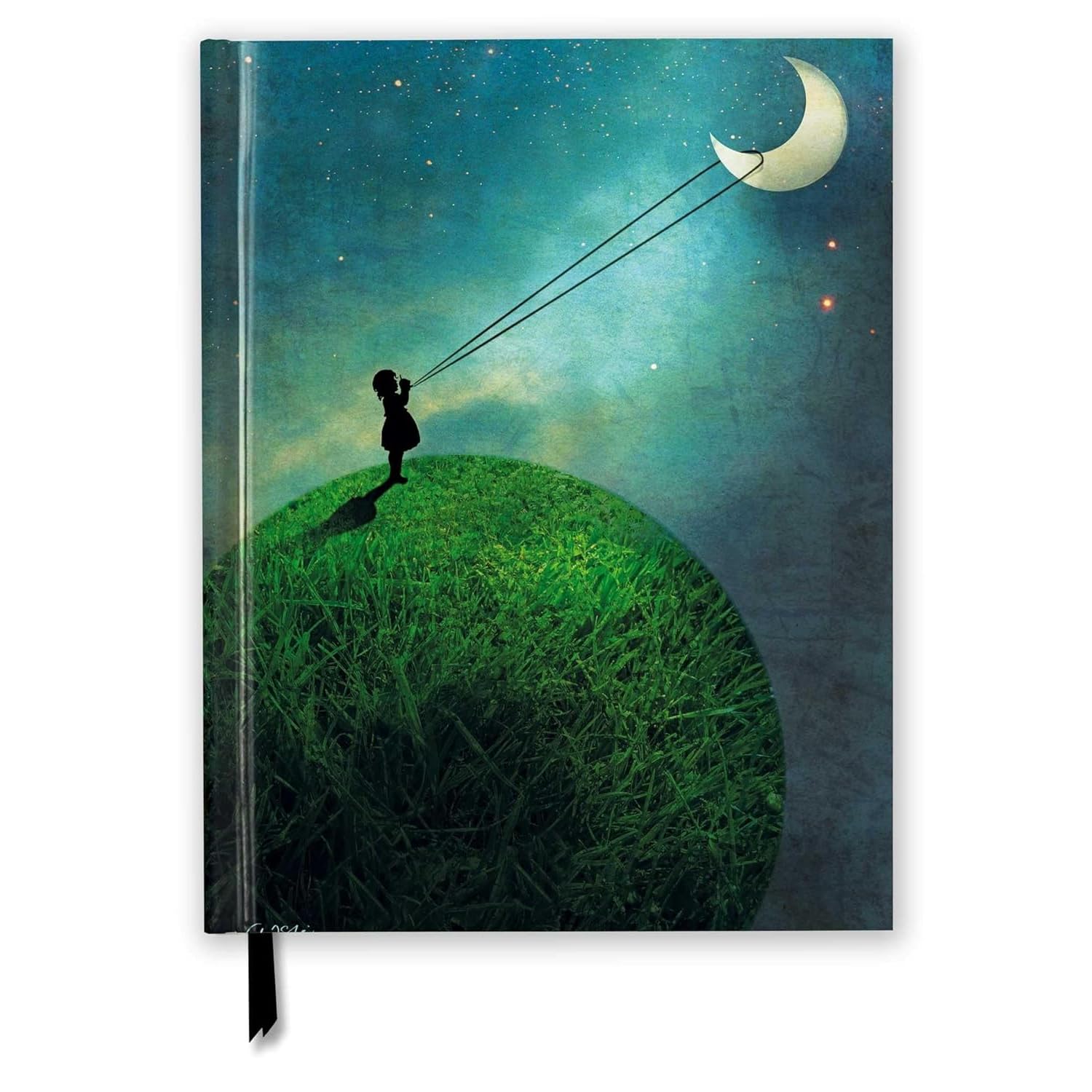 Catrin Welz-Stein: Chasing the Moon (Blank Sketch Book) (Luxury Sketch Books)