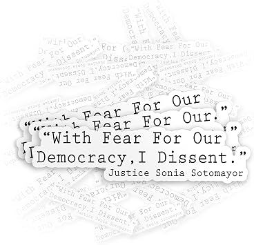 3Pcs-3" with Fear for Our Democracy I Dissent Sticker - Feminist Justice Waterproof Die-Cut Vinyl Sticker for Laptop Water Bottle Hard Hat Tumbler Kindle Decal Gift for Her Him Men Woman 3 Inches