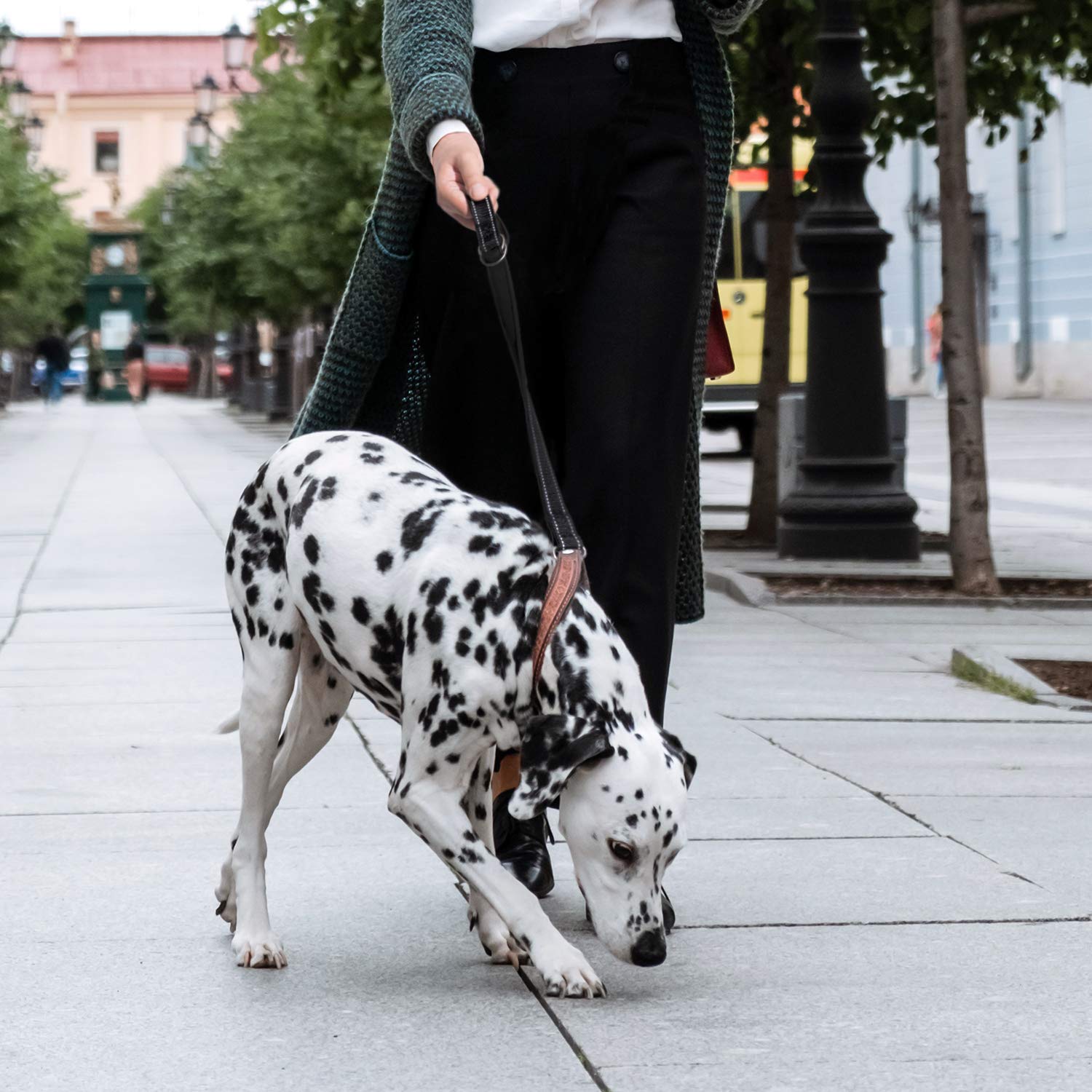 stockings & garter belt Marilyn Panty + Garter in Purple